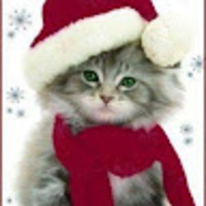 Meet your Posher, Carinah